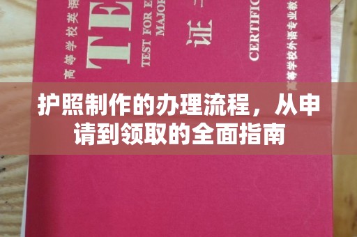 东光护照制作的办理流程，从申请到领取的全面指南