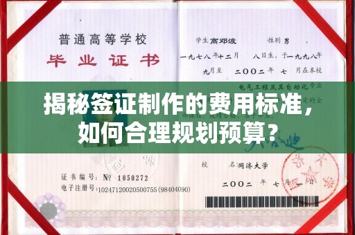 东光揭秘签证制作的费用标准，如何合理规划预算？