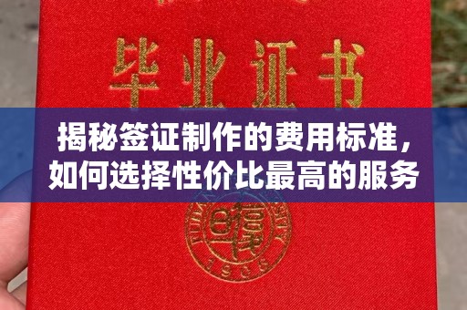 东光揭秘签证制作的费用标准，如何选择性价比最高的服务？