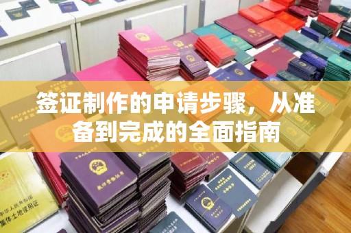 东光签证制作的申请步骤，从准备到完成的全面指南