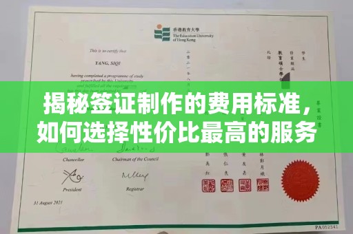 东光揭秘签证制作的费用标准，如何选择性价比最高的服务？