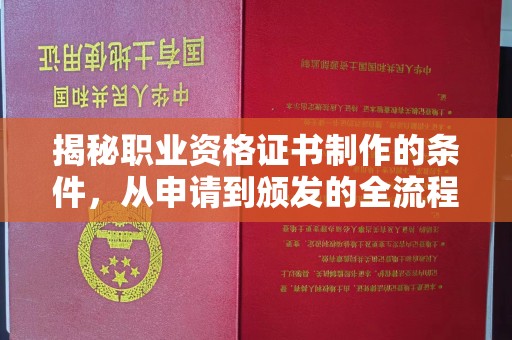 东光揭秘职业资格证书制作的条件，从申请到颁发的全流程解析