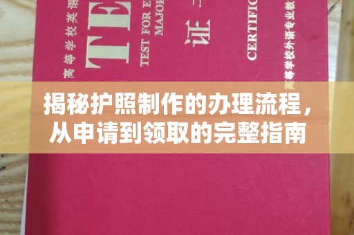 东光揭秘护照制作的办理流程，从申请到领取的完整指南