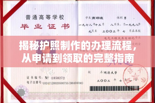 东光揭秘护照制作的办理流程，从申请到领取的完整指南