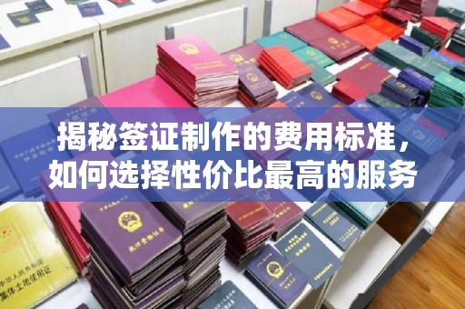 东光揭秘签证制作的费用标准，如何选择性价比最高的服务？