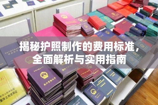 东光揭秘护照制作的费用标准，全面解析与实用指南